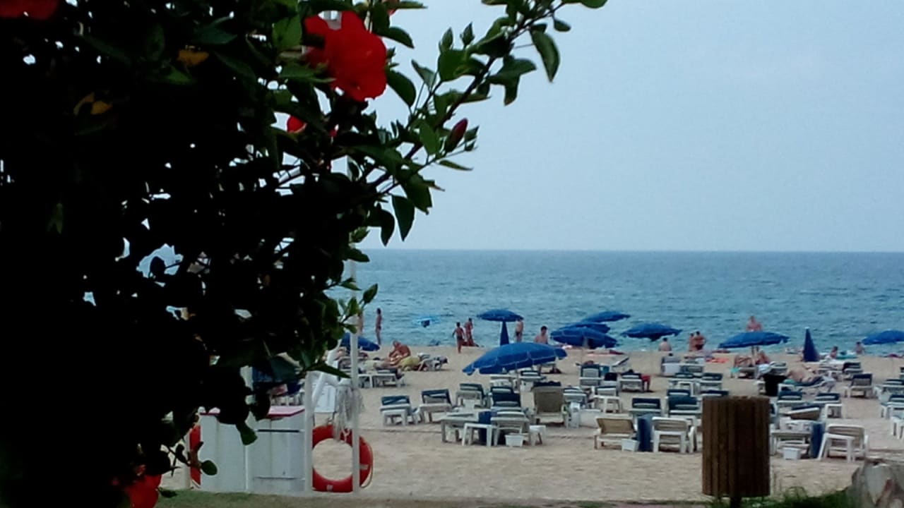 Пляж  Hotel Aslan City Kleopatra