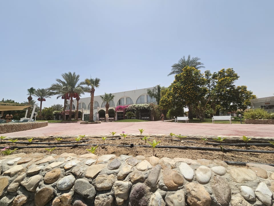 Gartenanlage Desert Rose