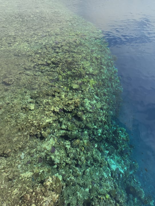 Strand Akassia Swiss Resort