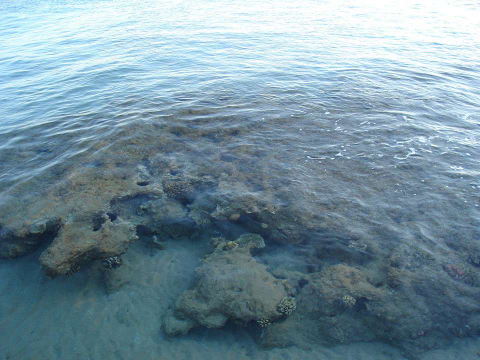 Blick vom Steg ins Meer Pickalbatros Palace Resort