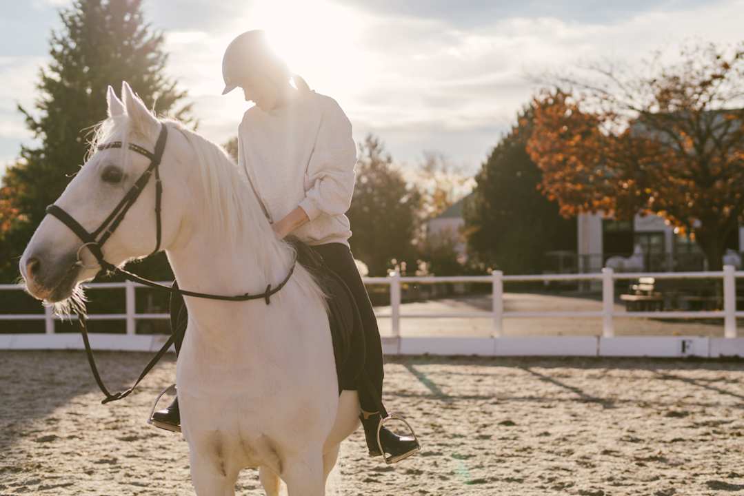 Sport & Freizeit Hotel Reiters Supreme