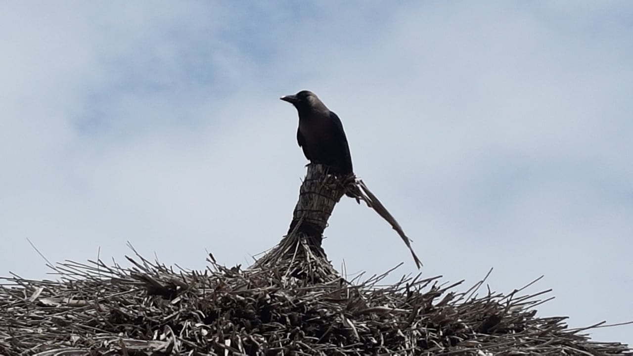 Strand Royal Zanzibar Beach Resort