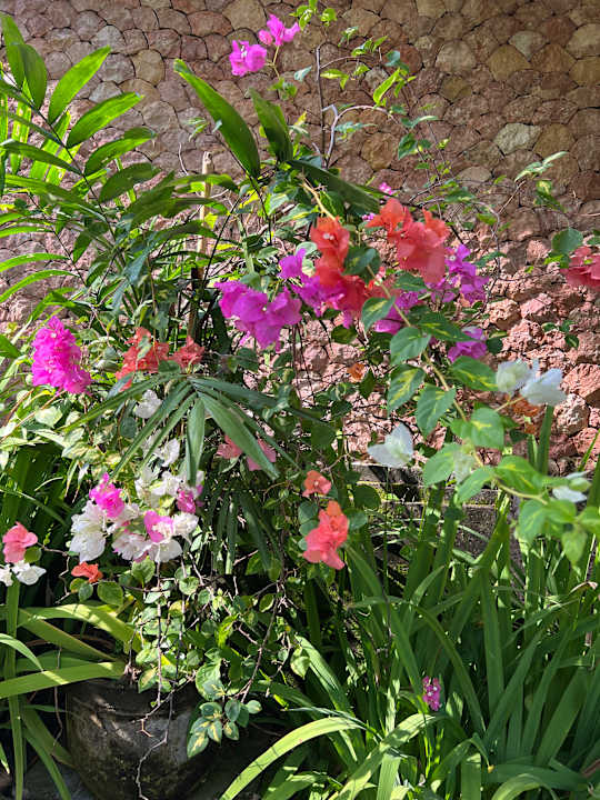 Gartenanlage Puri Santrian