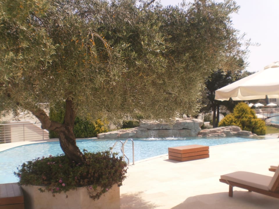 Der kleine Pool SENTIDO Port Royal Villas & Spa