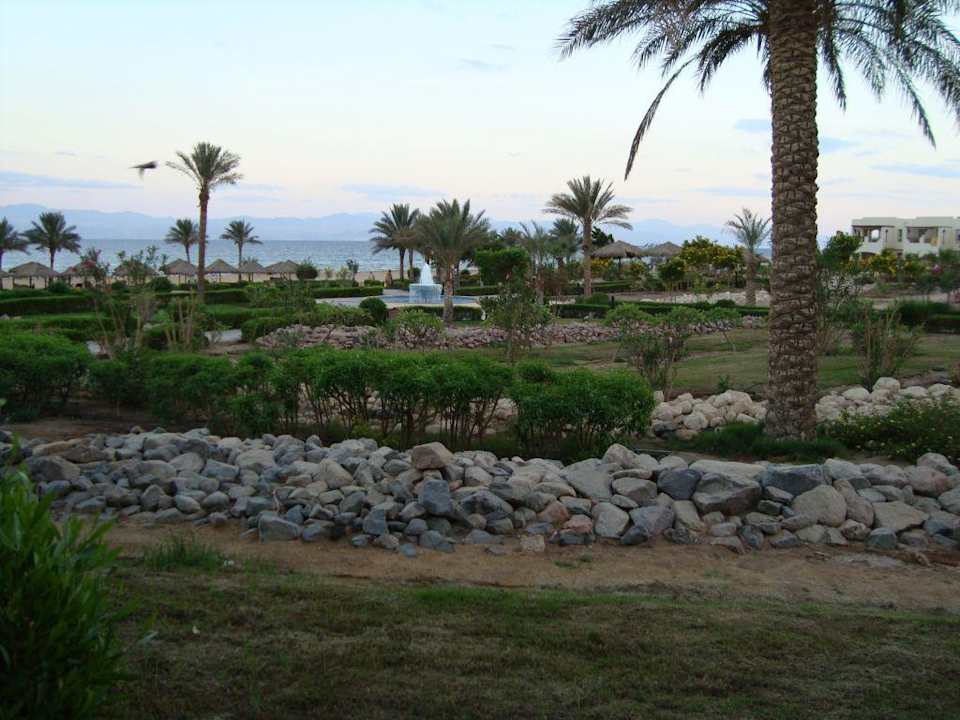 Widok z pokoju Aquis Taba Paradise Resort