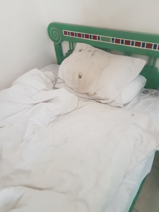 Zimmer Giftun Azur Resort