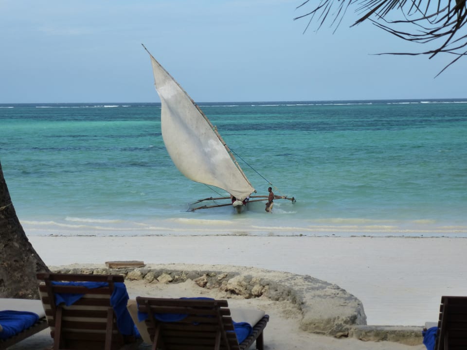 Dhau am Hotelstrand Sultan Sands Island Resort & Spa