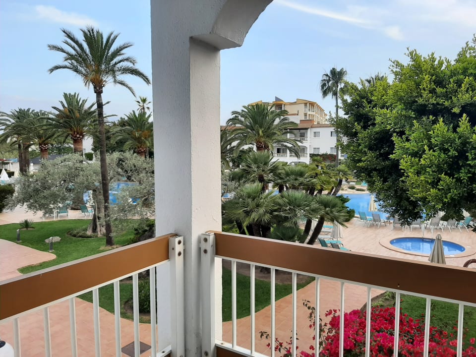 Zimmer Alcudia Garden Aparthotel