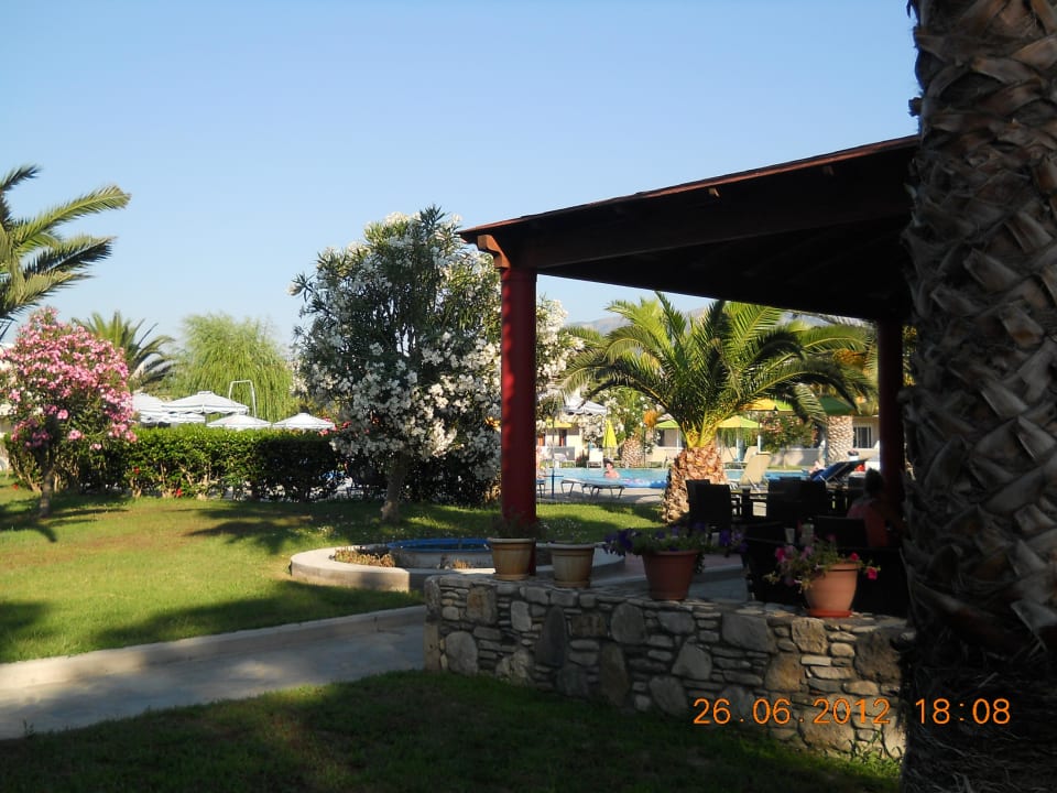 Blick auf den Pool Hotel Esperia