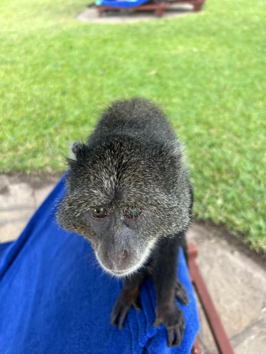 Sonstiges Neptune Paradise Beach Resort & Spa