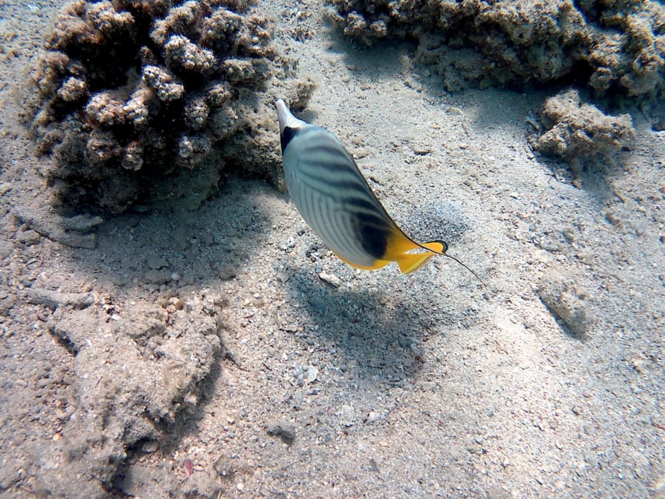 Sport & Freizeit Jaz Makadi Saraya Resort