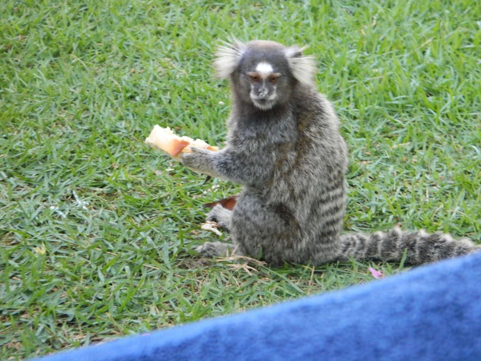 Noch einer Hotel Porto Zarpa