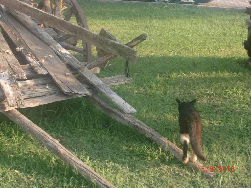 VON Club Golden Beach VONRESORT Golden Beach