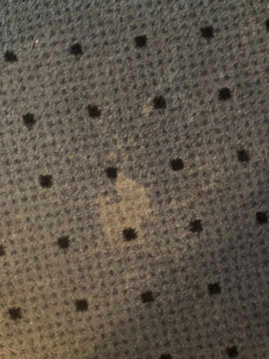 Zimmer Good Morning + Berlin City East