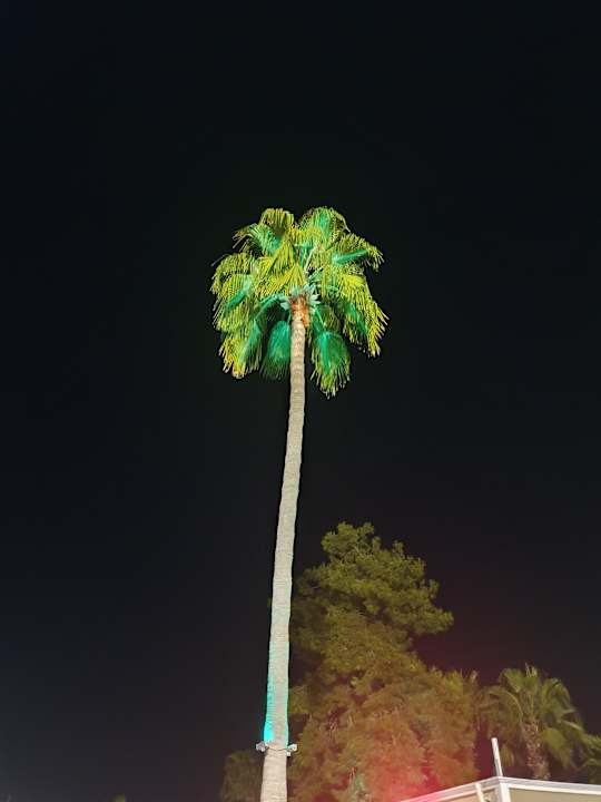 Pool Club Sidelya Hotel