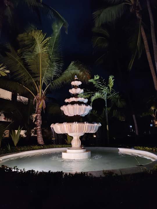 Gartenanlage TRS Turquesa Hotel - Adults only