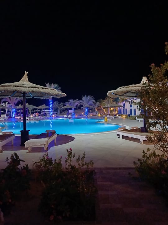 Pool Coral Sun Beach