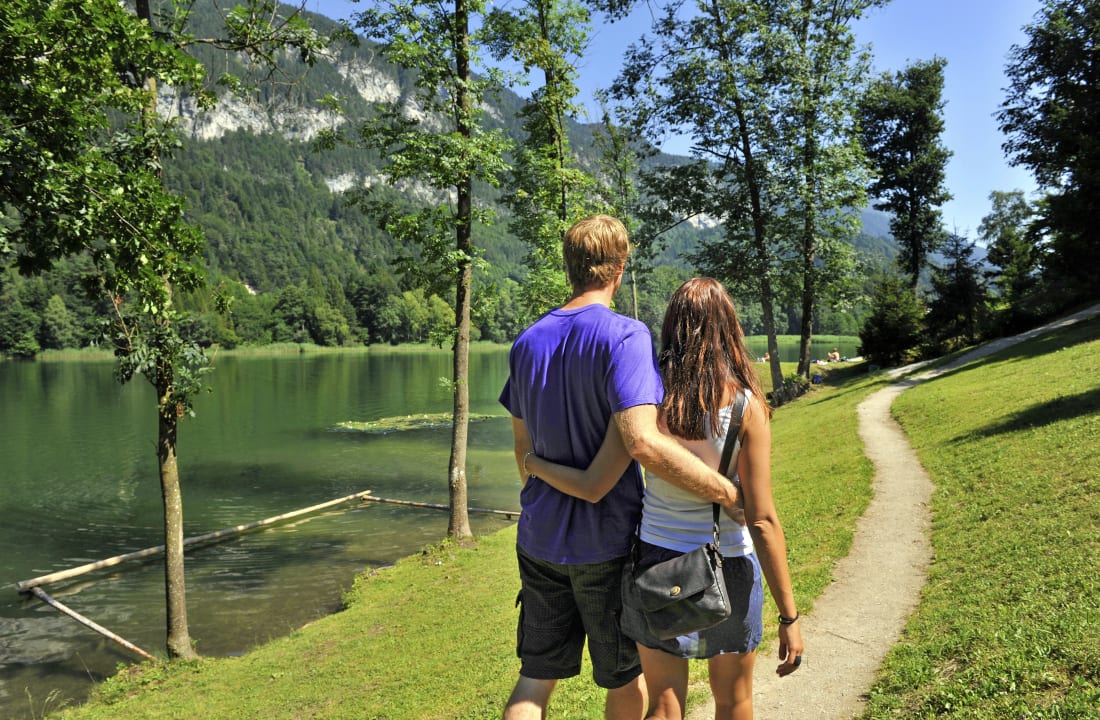 Ausblick Camping Seeblick Toni