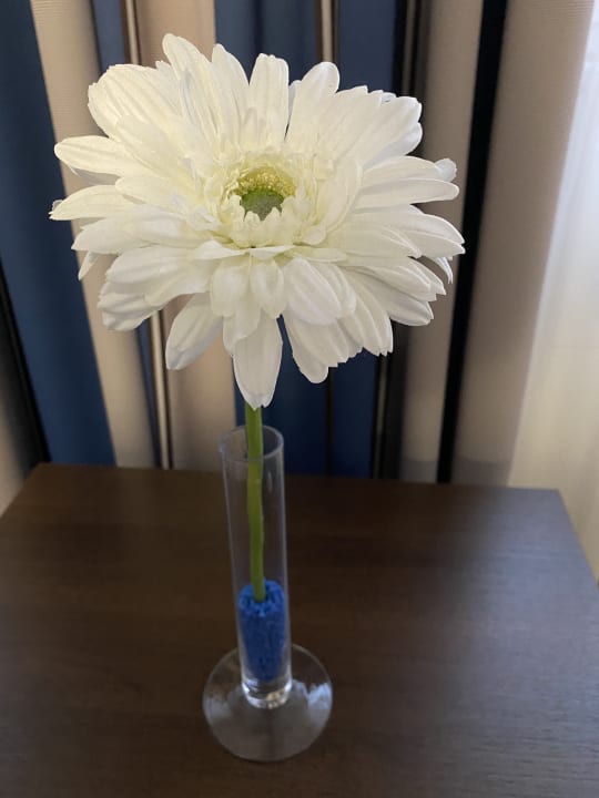 Sonstiges Hotel am Freischütz