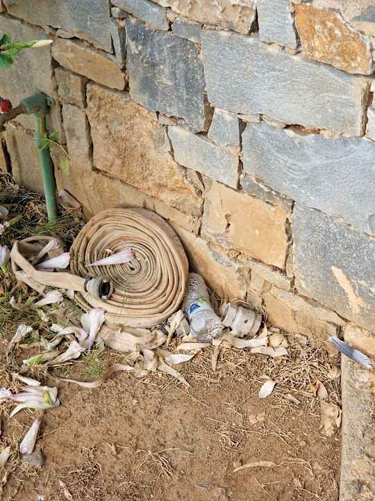 Gartenanlage High Beach Resort