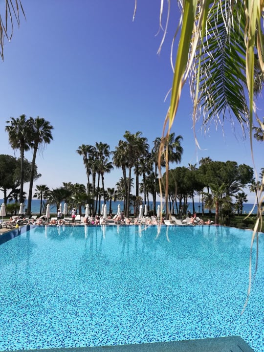 Pool Acanthus Cennet Barut Collection