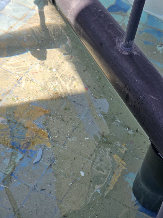 Pool Dream Fun World