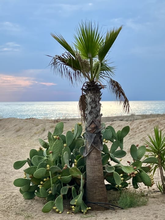 Strand Önder Yildiz Hotel