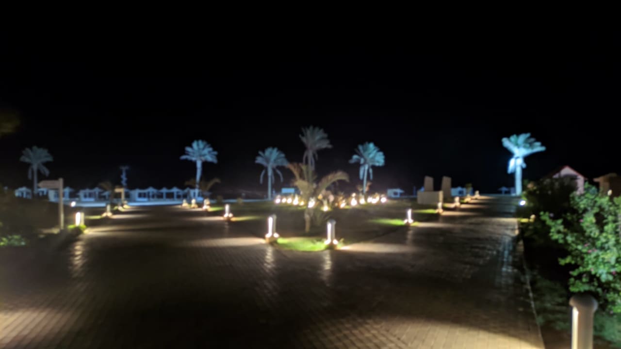 Sonstiges Pickalbatros Sea World Resort - Marsa Alam