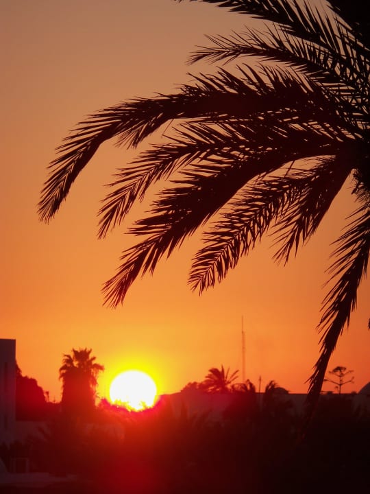 Sonnenuntergang vom Zimmer aus Iberostar Waves Mehari Djerba