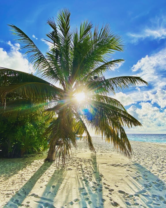 Strand ROBINSON MALDIVES