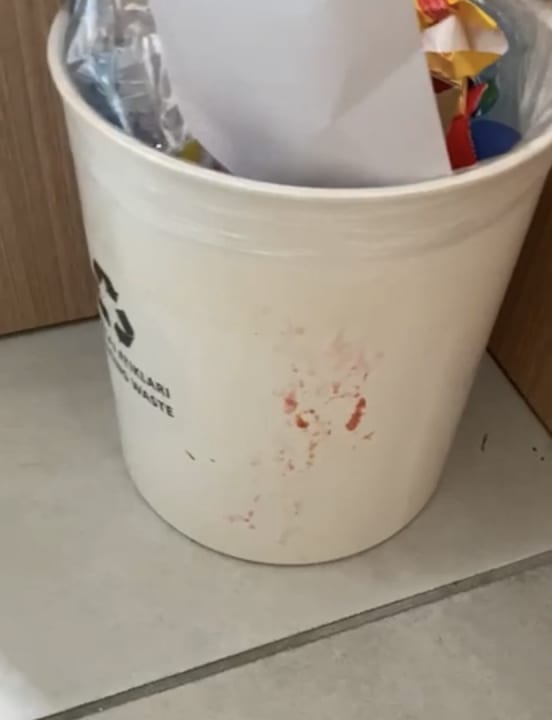 Zimmer AQI Pegasos World