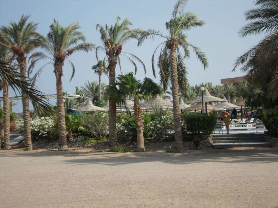 Viele Palmen Giftun Azur Resort