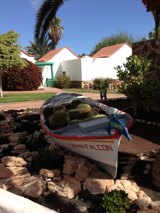 Top gepflegt was fürs Auge Aldiana Club Fuerteventura