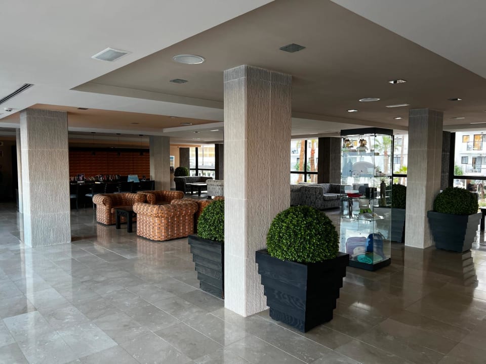 Lobby Protur Palmeras Playa Aparthotel