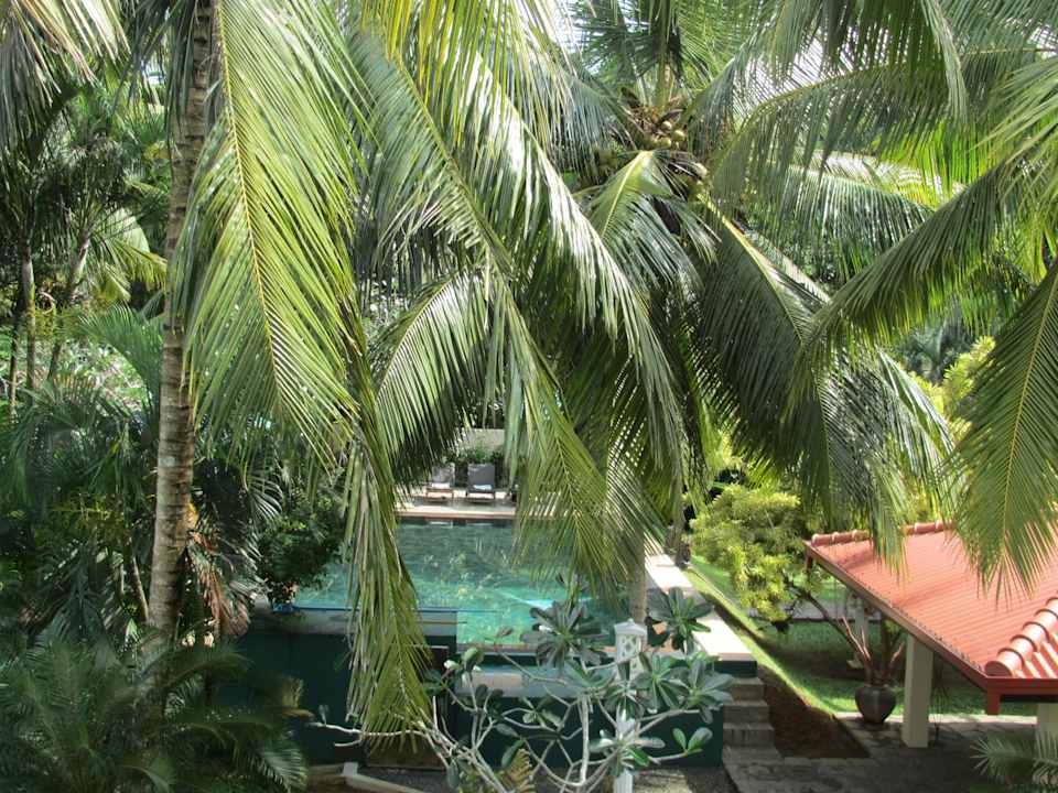 Ausblick Shangri-lanka Villa