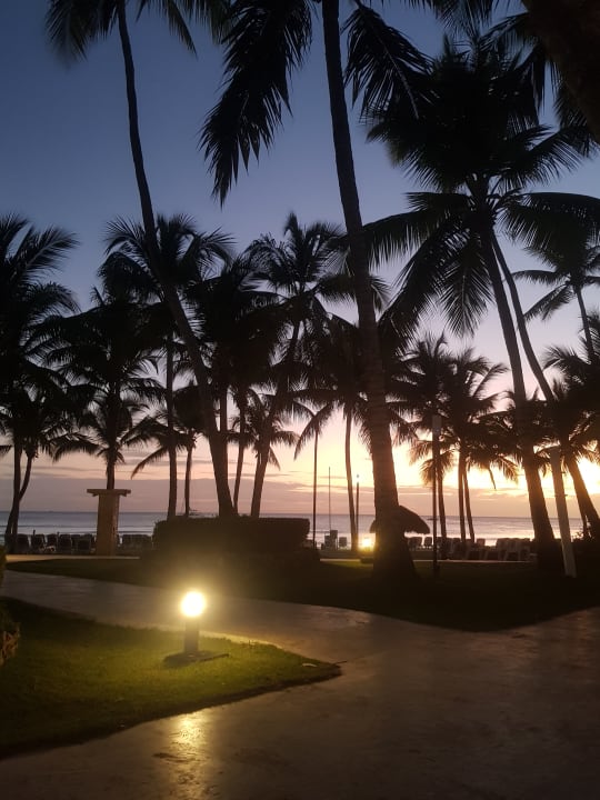 Gartenanlage Hotel Viva Dominicus Beach by Wyndham - All Inclusive Resort