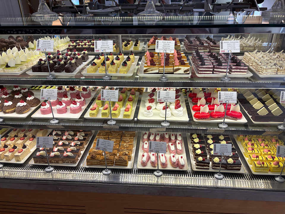 Gastro Papillon Ayscha