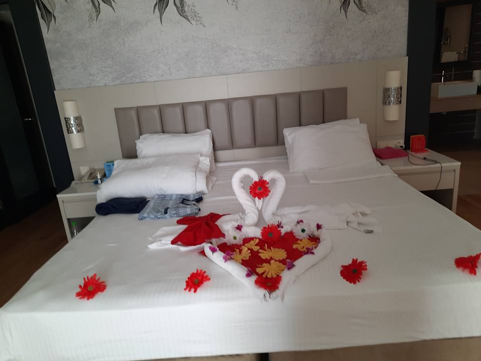 Zimmer Seaden Sea World Resort & Spa