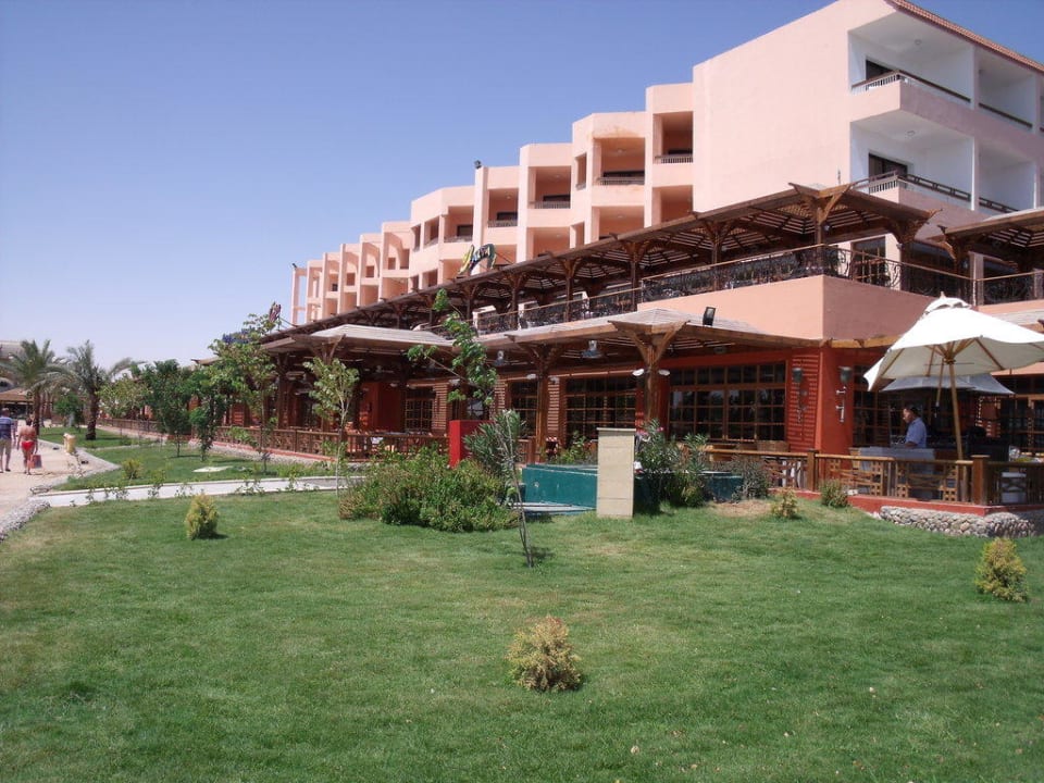 Die fünf Restaurants mit Terrasse und Meerblick Beach Albatros Resort