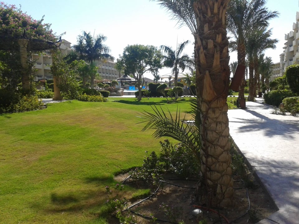 Wunderschön Amwaj Beach Club Abu Soma Resort
