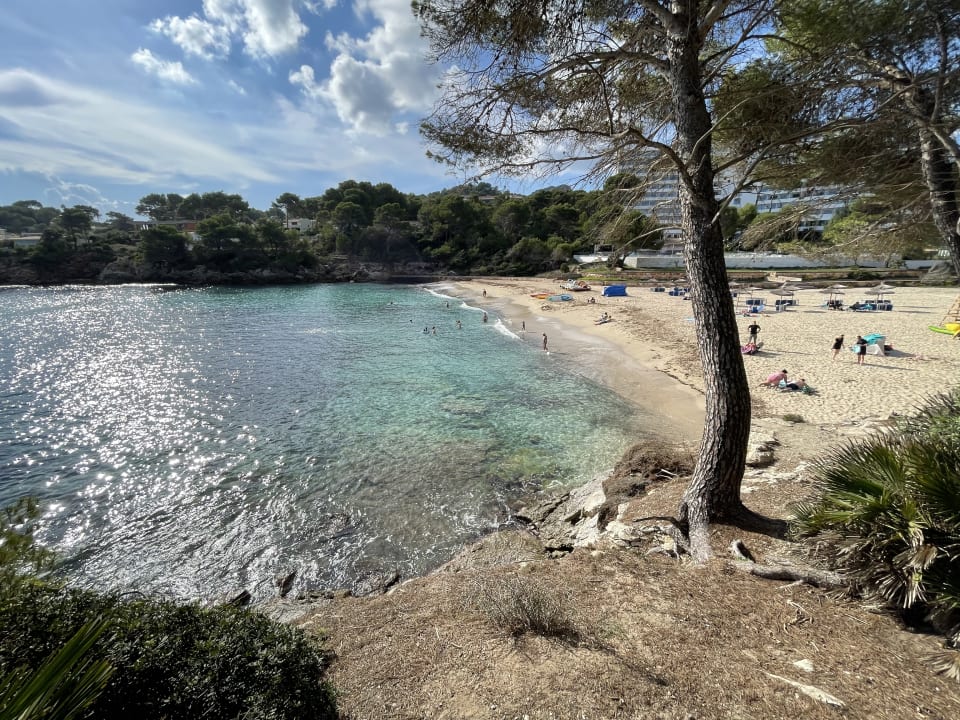 Ausblick Iberostar Waves Pinos Park