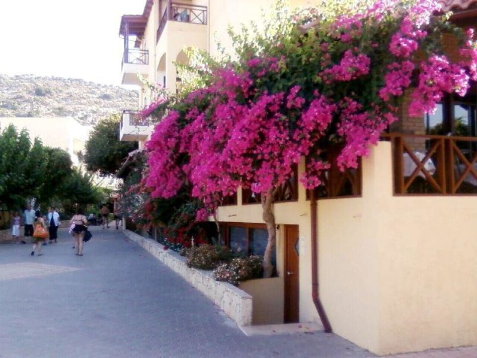 Hotel  Cactus Beach