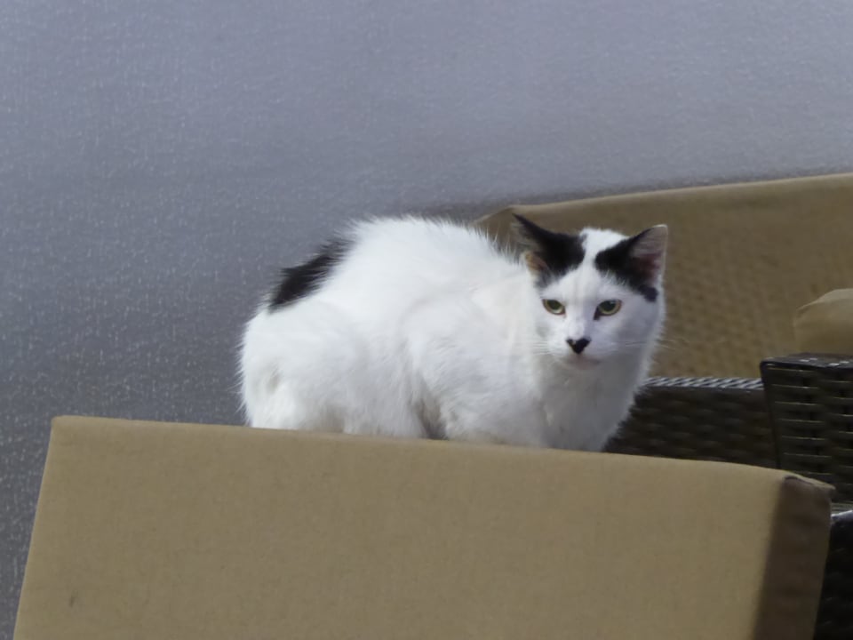 Sonstiges Ramada Plaza by Wyndham Antalya