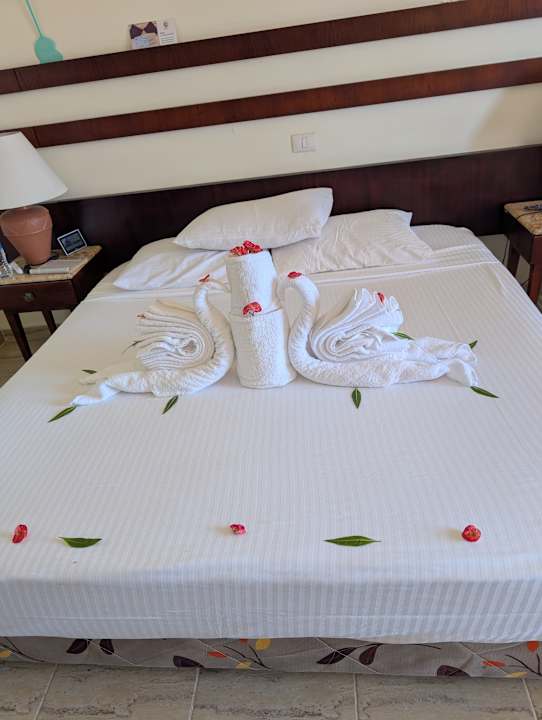 Zimmer Malikia Resort Abu Dabbab