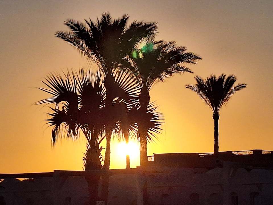 Ausblick JAZ Neo Reef Marsa