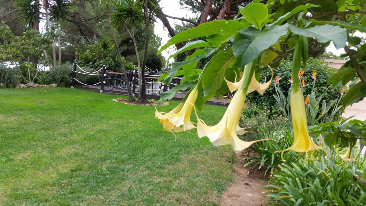 Hotel Porto Bay Falésia  PortoBay Falésia