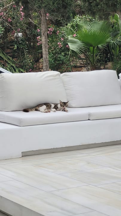 Sport & Freizeit Hotel Grecian Sands