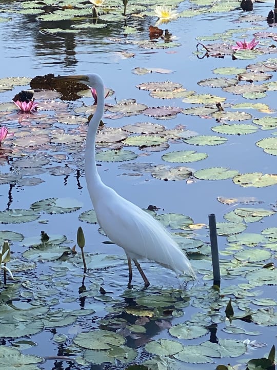 Gartenanlage Grand Hyatt Bali
