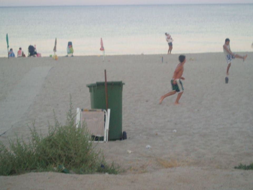 Daulia - widok na brudną plażę Hotel Daulia