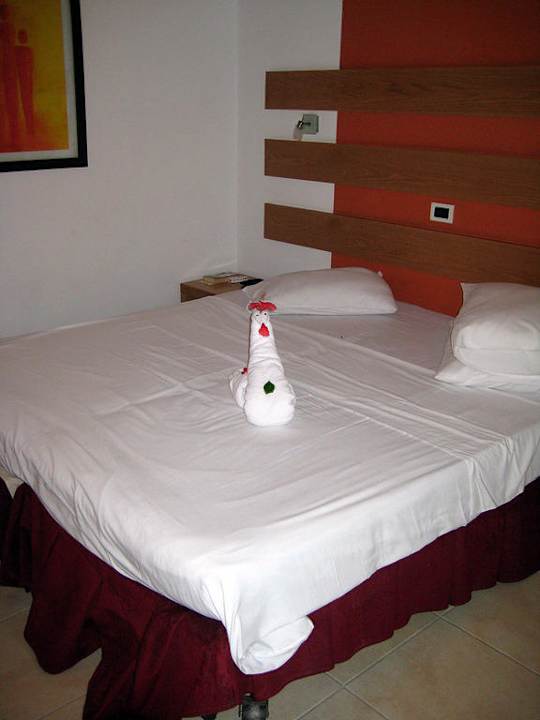 Der Schwan - die Pute! Ghazala Beach